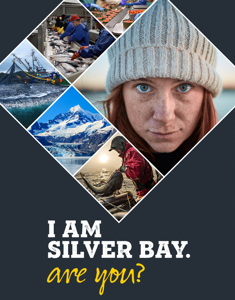 2020 Guide Download Silver Bay Jobs
